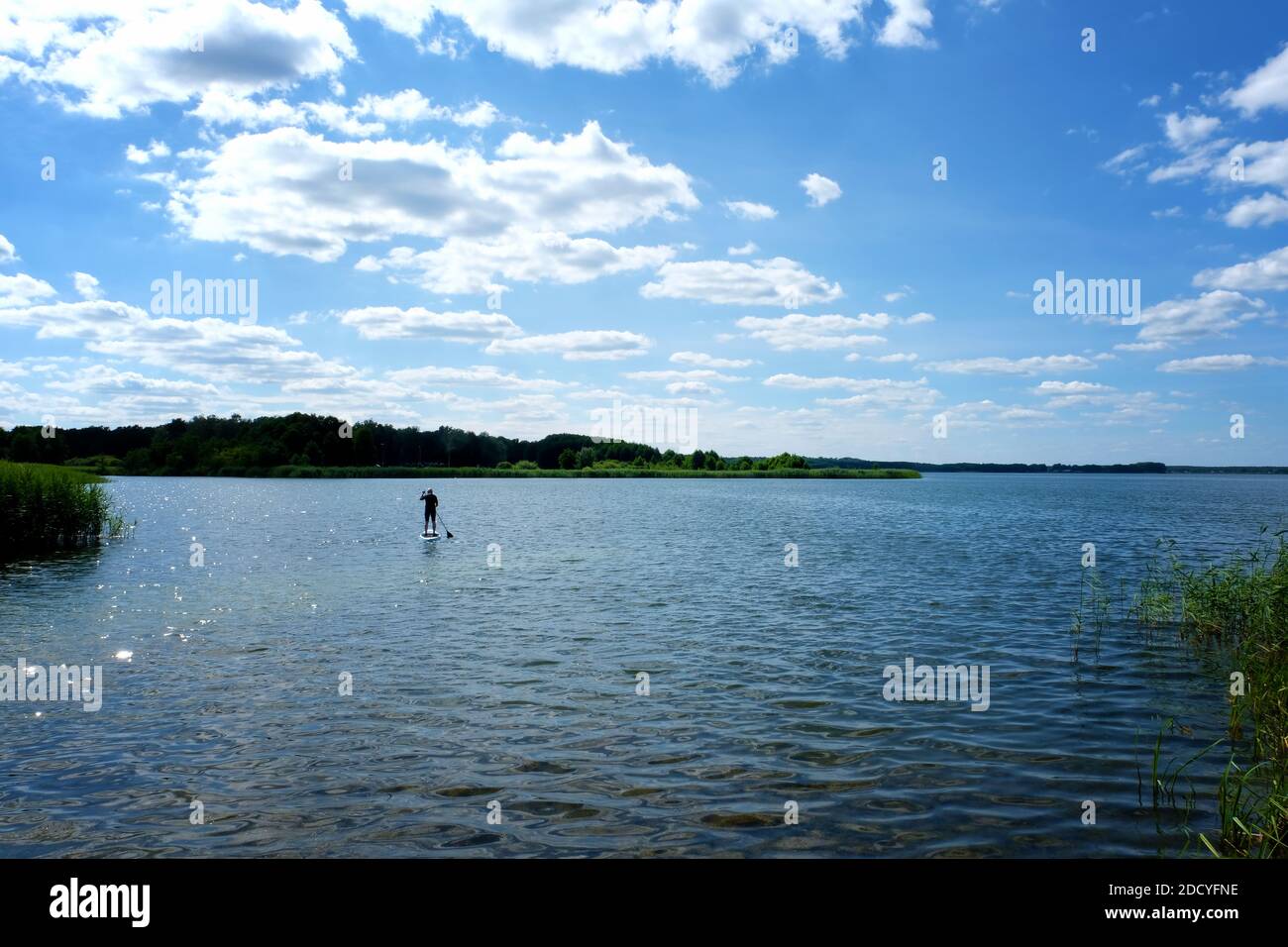 Lago Grimnitzsee, Althüttendorf, Barnim, Brandeburgo, Alemania Foto de stock
