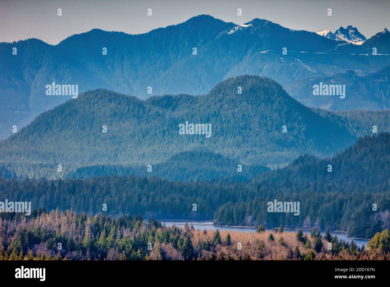 Costa montañas paisaje en Tofino, Vancouver Island, BC, Canadá Foto de stock