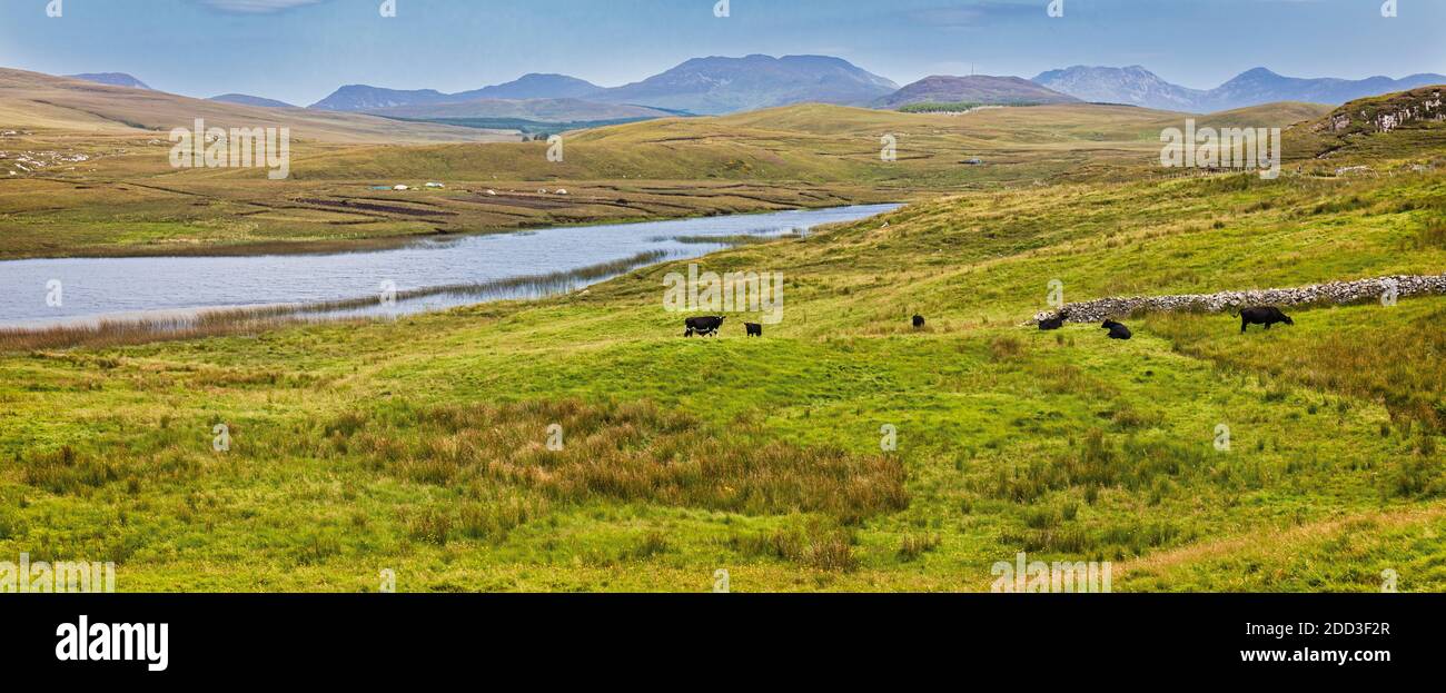 Escena rural cerca de Clifden, Connemara, Condado de Galway, República de Irlanda. Eire. Foto de stock