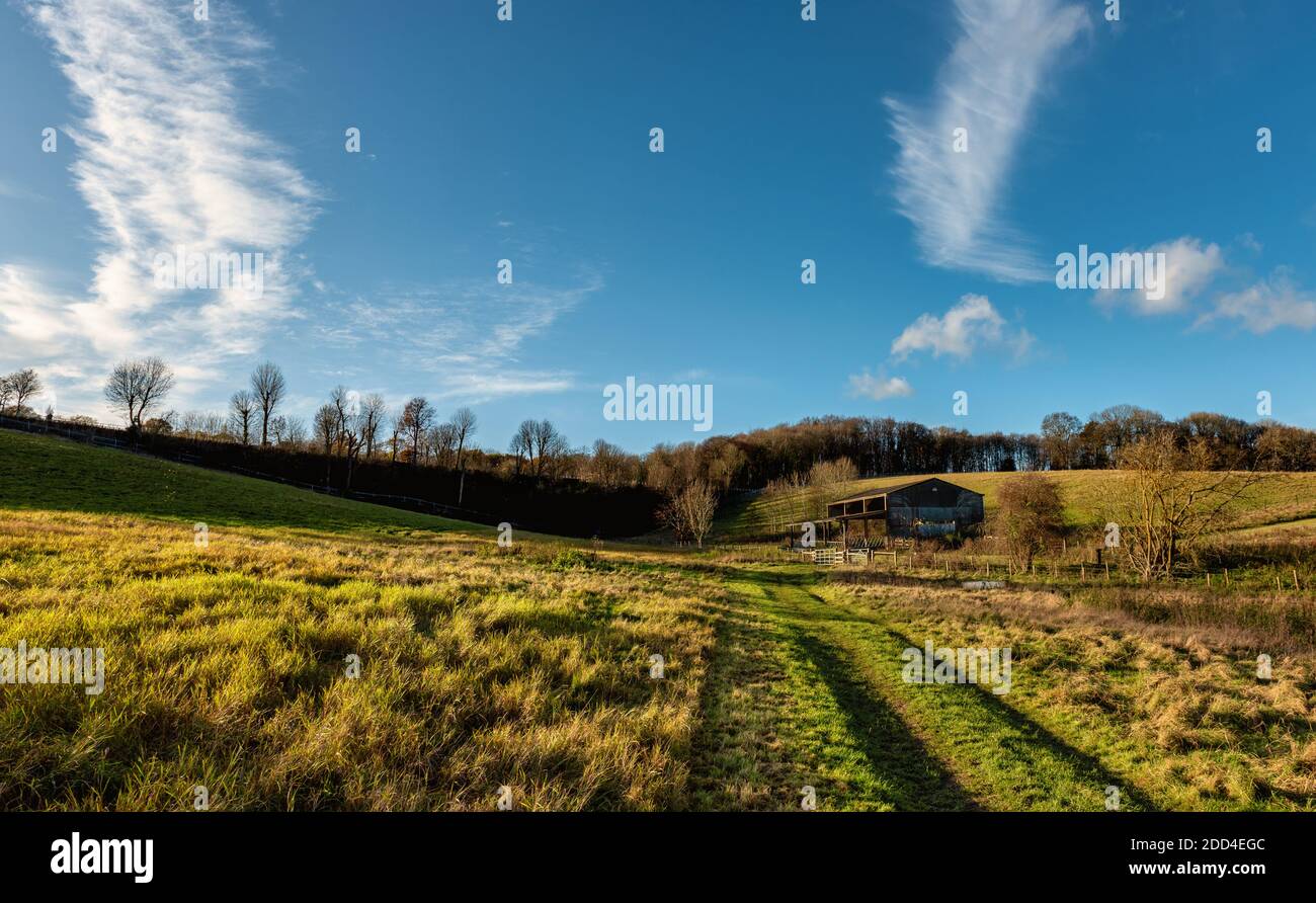 Camino entre los campos por River Chess, Chiltern Hills, Inglaterra Foto de stock