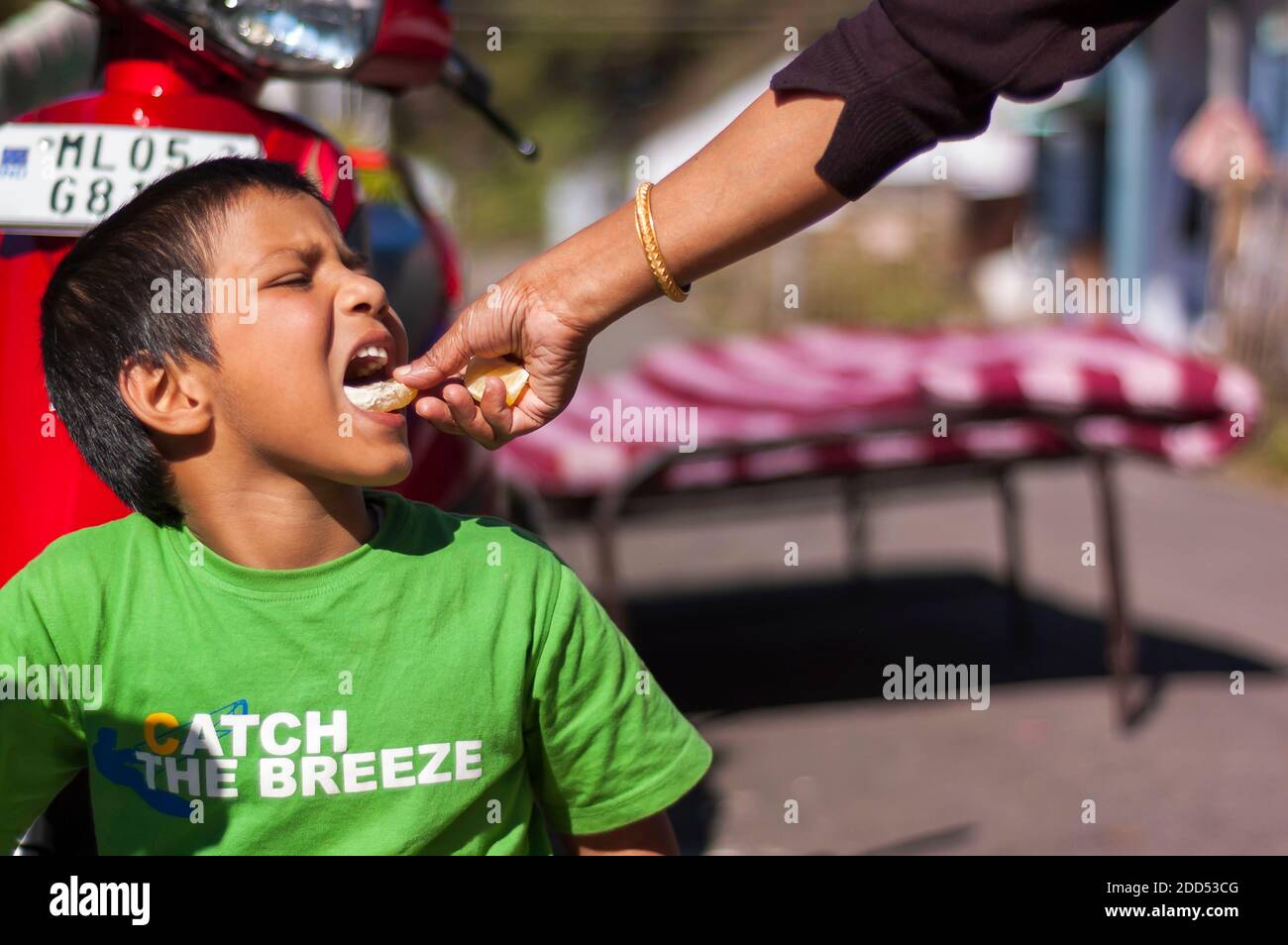 Un joven de etnia India asiática alimentado por su abuela una rebanada de naranja, que no está en el cuadro. Foto de stock