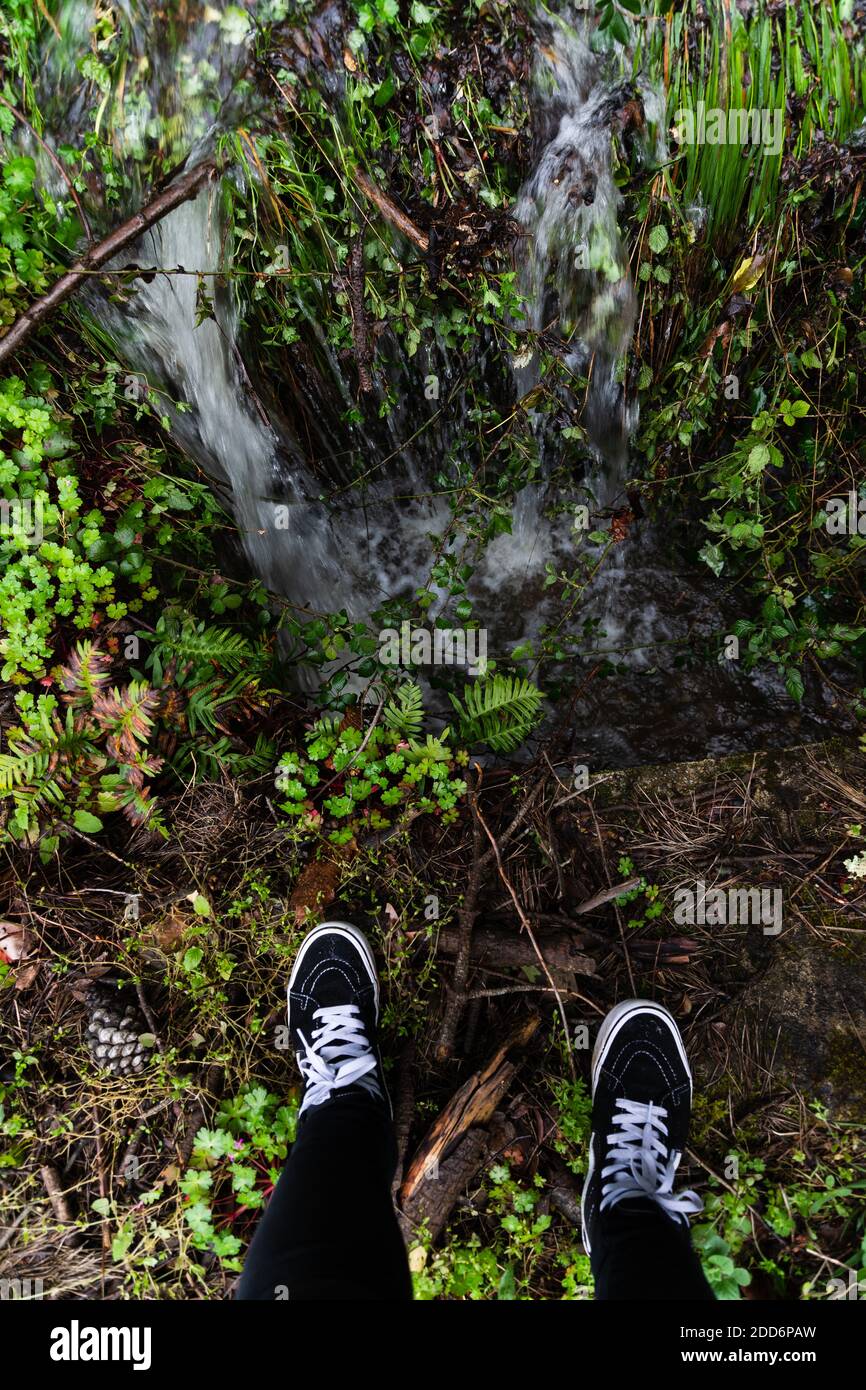 Zapatos naturaleza new arrivals