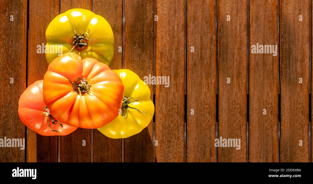 Vista desde arriba sobre cuatro tomates verdes y rojos maduros del pueblo que se encuentran sobre una superficie de madera marrón. Fondo de alimentos naturales con espacio de copia. Luz solar Foto de stock