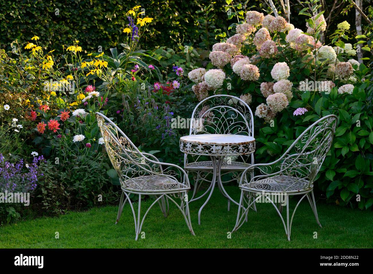 Mesa y sillas de metal blanco, mesa y sillas de hierro forjado, asiento, asientos, jardín, jardines, jardín de la casa,nefeta,salvia,dahlia,rudbeckia,hortensia,display Foto de stock