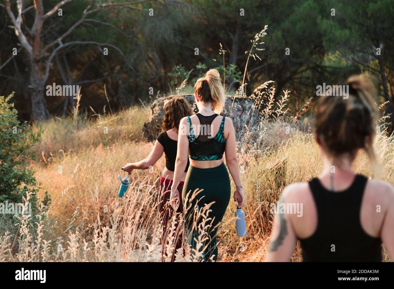 Mujeres amigas en ropa deportiva caminando por el sendero en el campo durante las vacaciones Foto de stock