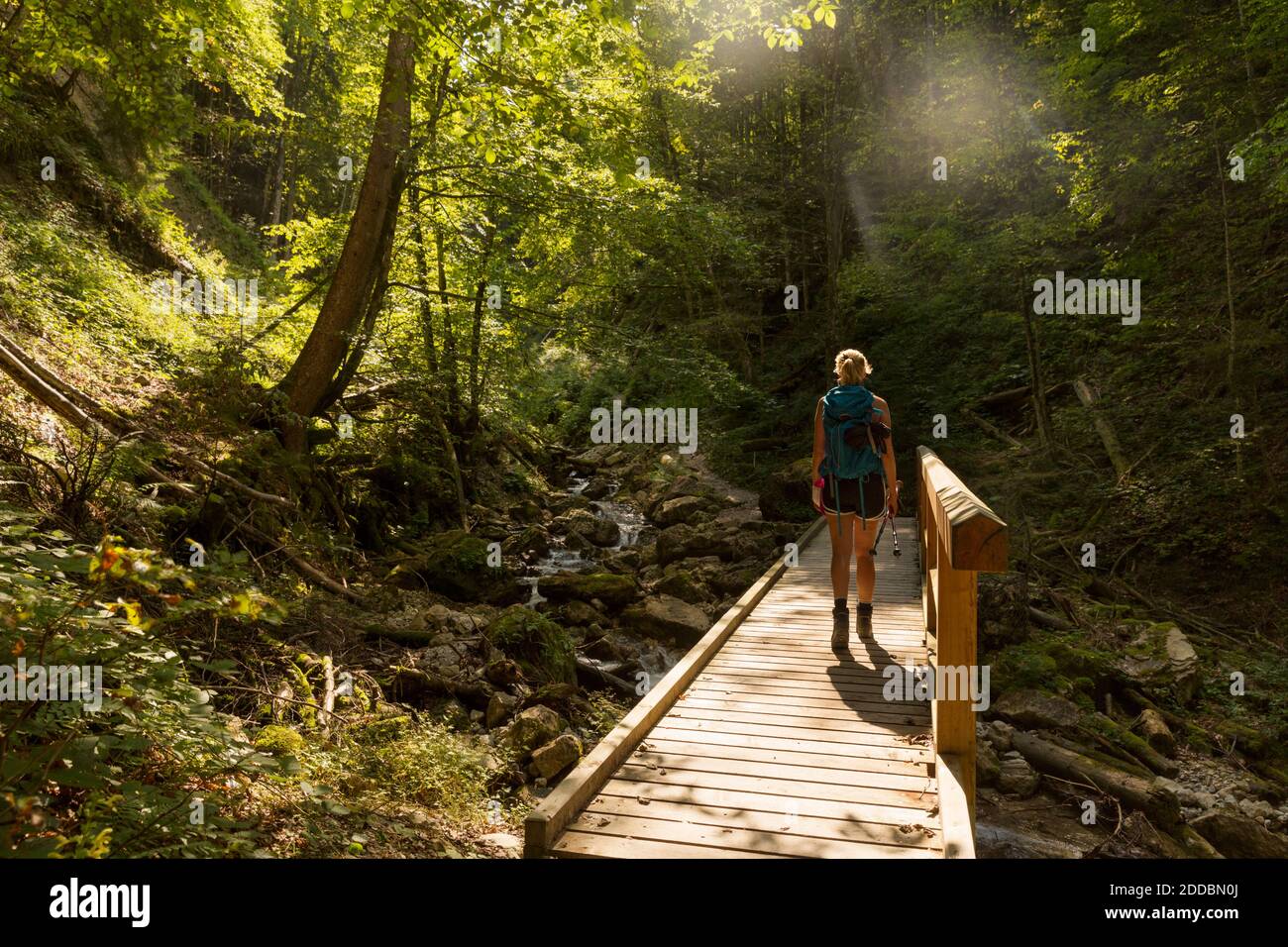 Caminadora hembra cruzando el puente de madera que se extiende sobre el arroyo del bosque verano Foto de stock