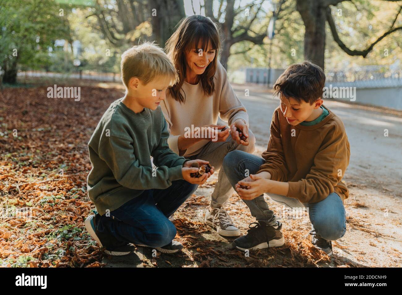 Madre e hijos recogiendo castañas en el parque público Foto de stock