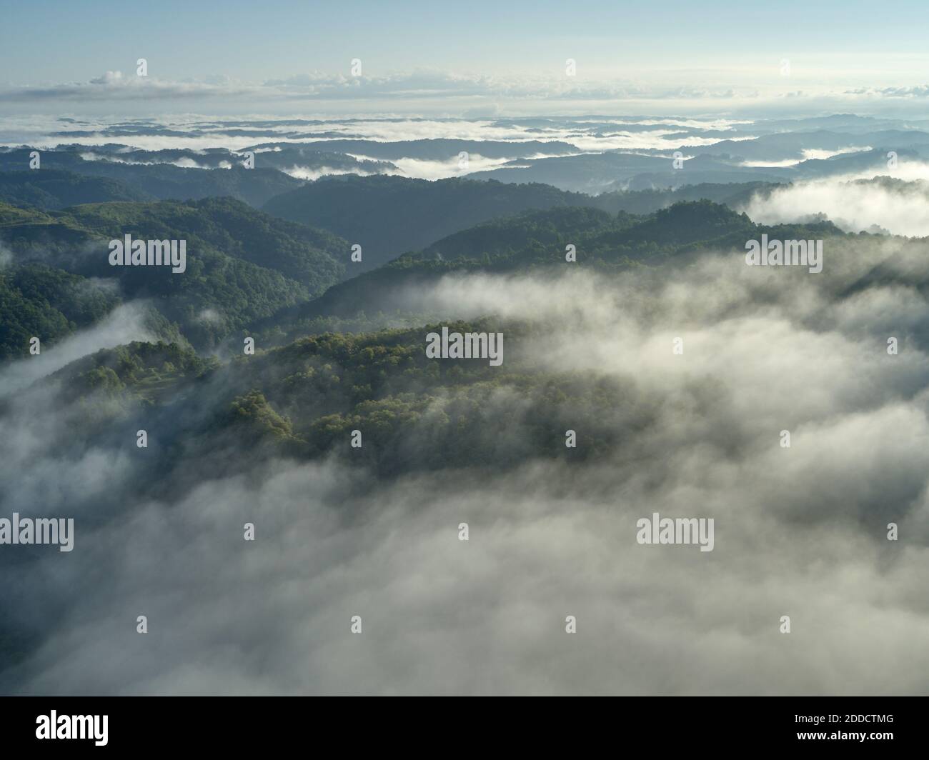 Vista aérea de las nubes bajas que rodean colinas boscosas Foto de stock