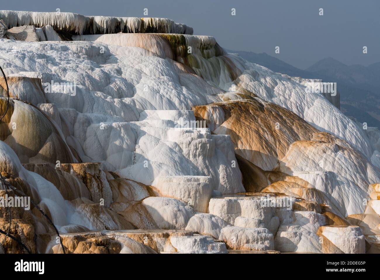 Terraza de mármol debajo de Canary Spring, Terraza Principal, Mammoth Hot Springs, Parque Nacional Yellowstone, Wyoming, Estados Unidos. Foto de stock