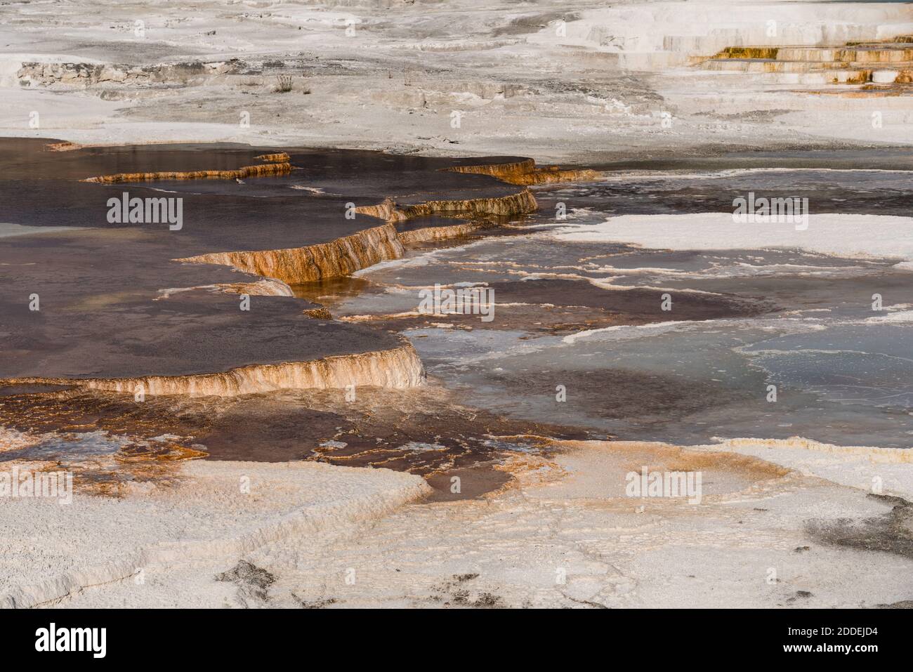 Terrazas de manantial Canario, Terraza Principal, Mammoth Hot Springs, Parque Nacional Yellowstone, Wyoming, Estados Unidos. Foto de stock