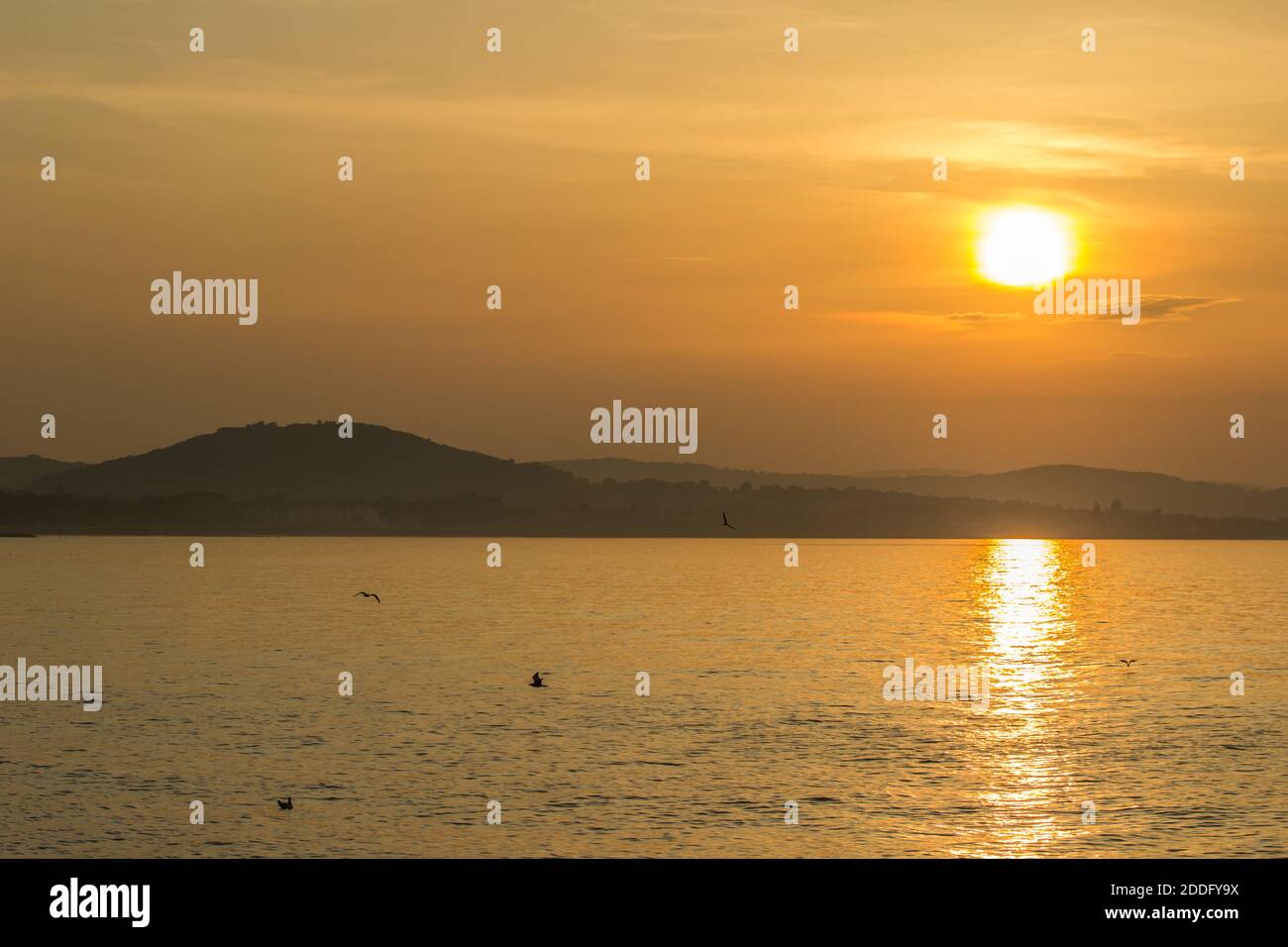Puesta de sol de hora dorada en la bahía de Colwyn, Gales del Norte. Cielo cálido con gaviotas sentadas en el agua. Foto de stock