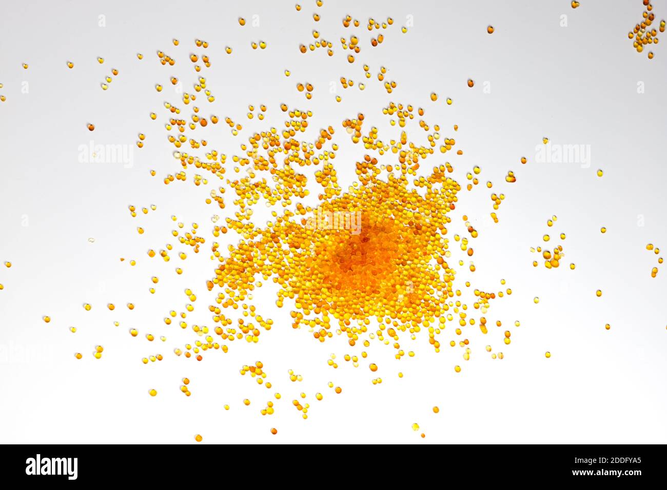 Desecante de gel de sílice sobre fondo blanco. Pequeñas cuentas de oro se extienden en un patrón Foto de stock