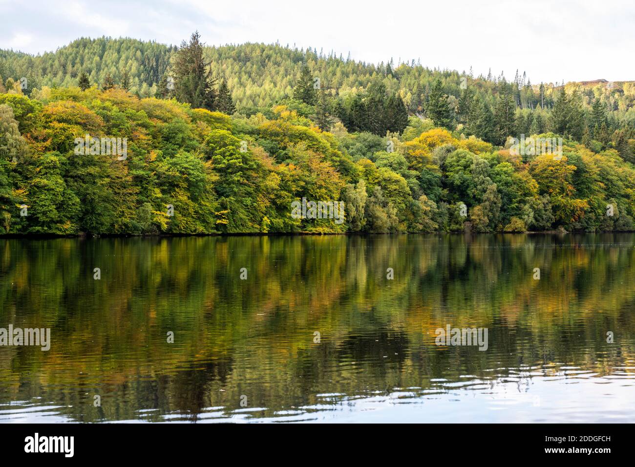 Reflexiones otoñales sobre el lago Faskally cerca de Pitlochry en Perthshire, Escocia, Reino Unido Foto de stock
