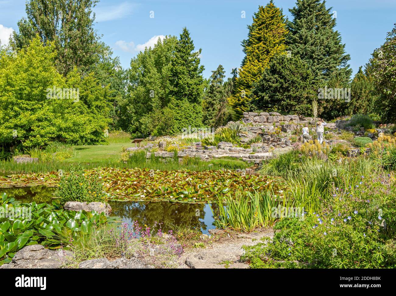 Jardín de piedra caliza en el Jardín Botánico de la Universidad de Cambridge, Inglaterra, Reino Unido Foto de stock