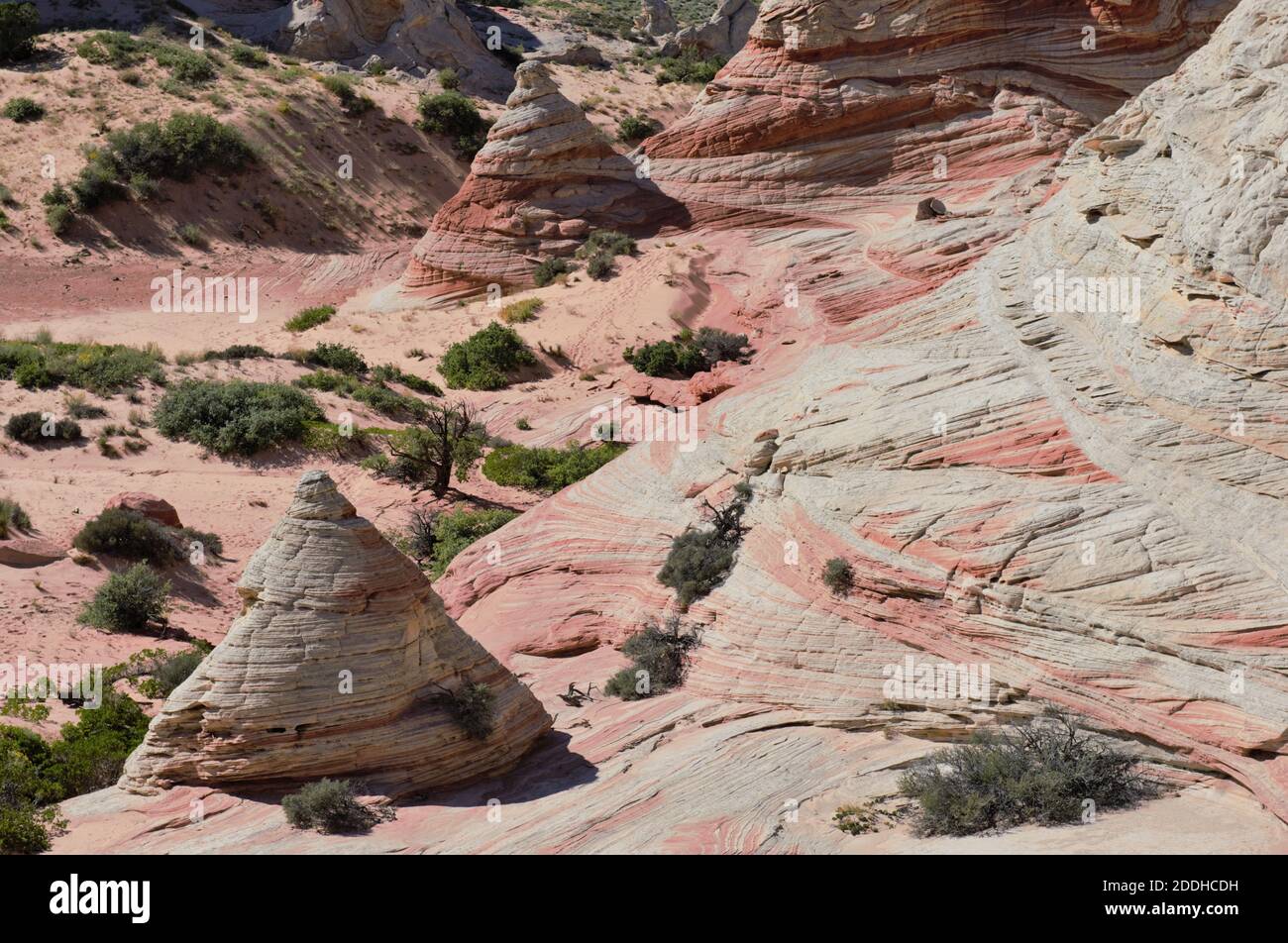 Formaciones rocosas coloridas en White Pocket cerca de Kanab Foto de stock