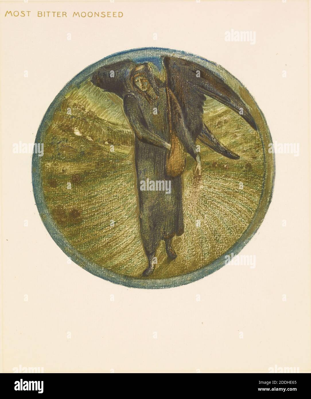 El libro de las flores, la semilla de la luna más amarga del libro de las flores, 1905 Sir Edward Burne-Jones, libro, movimiento del arte, pre-Raphaelite, flor, ángel, impresión, cotipo, planta Foto de stock