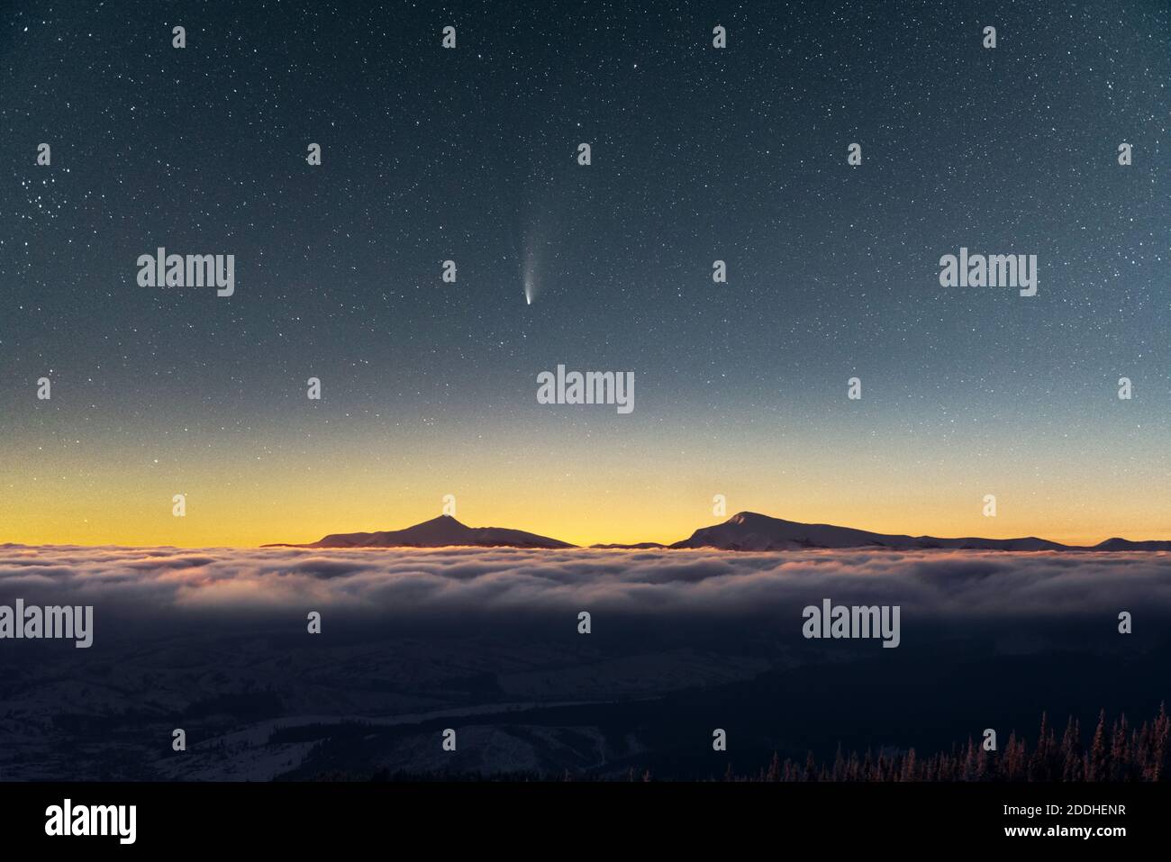 Fantástico paisaje invernal iluminado por la luz de las estrellas. Espectacular escena invernal con árboles nevados y cometa en el cielo nocturno. Cárpatos, Europa Foto de stock