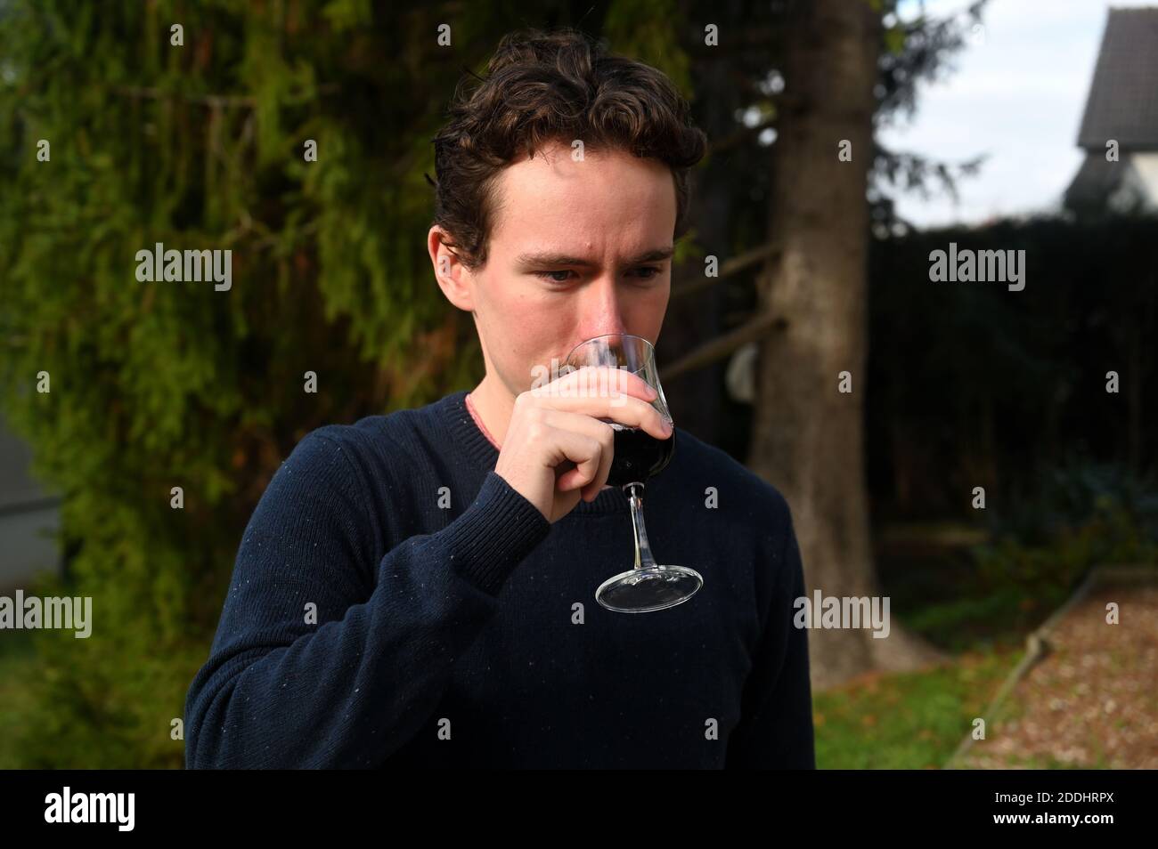 Degustación de vinos en un entorno natural Foto de stock