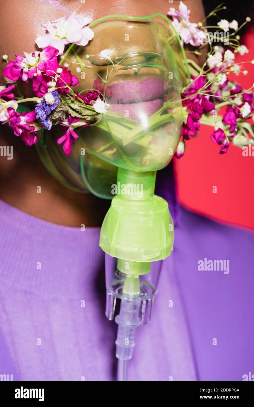 vista recortada de la joven afroamericana en púrpura con estilo conjunto con flores en inhalador aislado en rojo Foto de stock