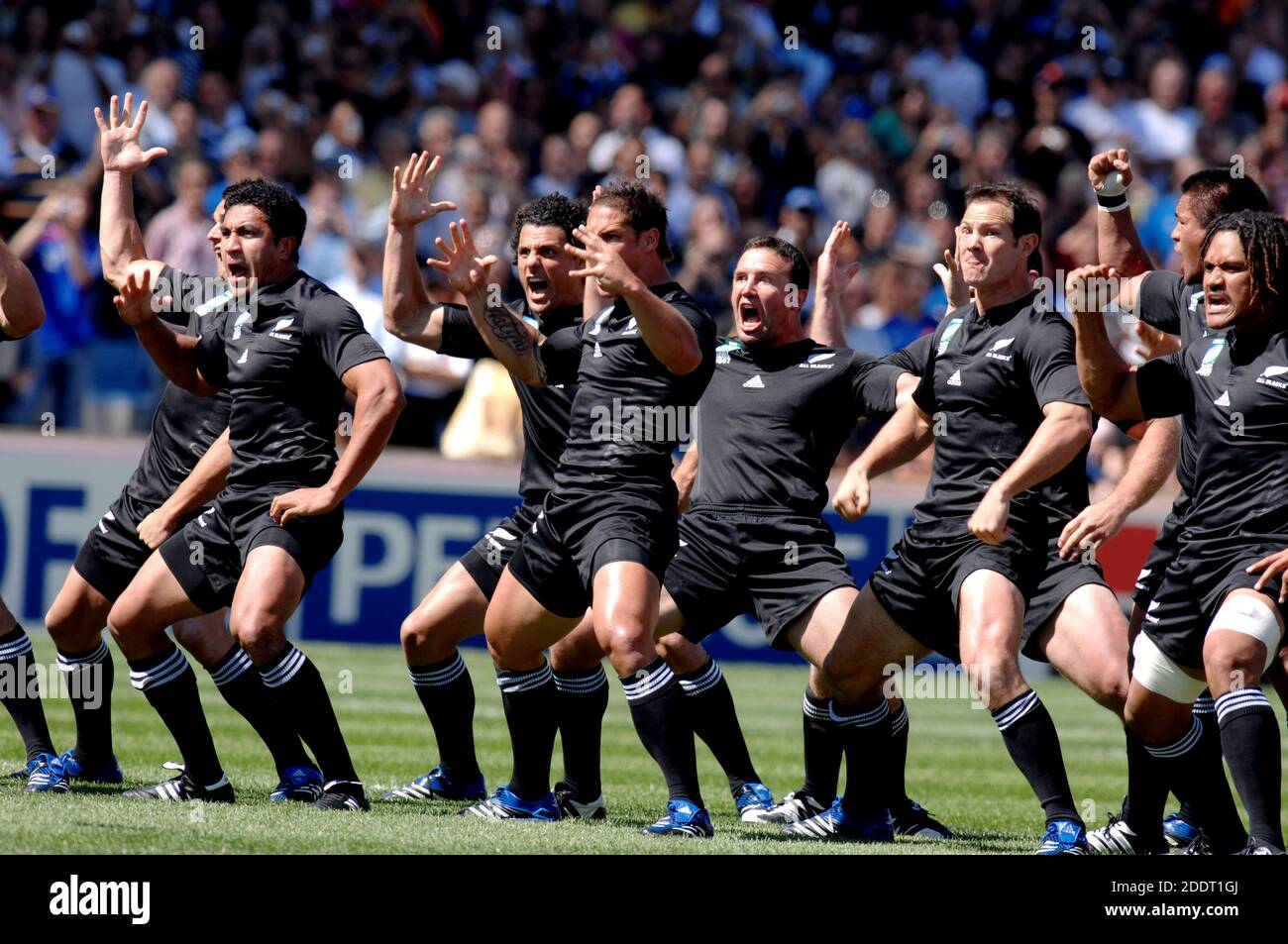 Los jugadores del equipo de rugby de Nueva Zelanda jugando el baile de la  haka maorí en el partido de rugby Italia vs Nueva Zelanda, durante la Copa  Mundial de Rugby de