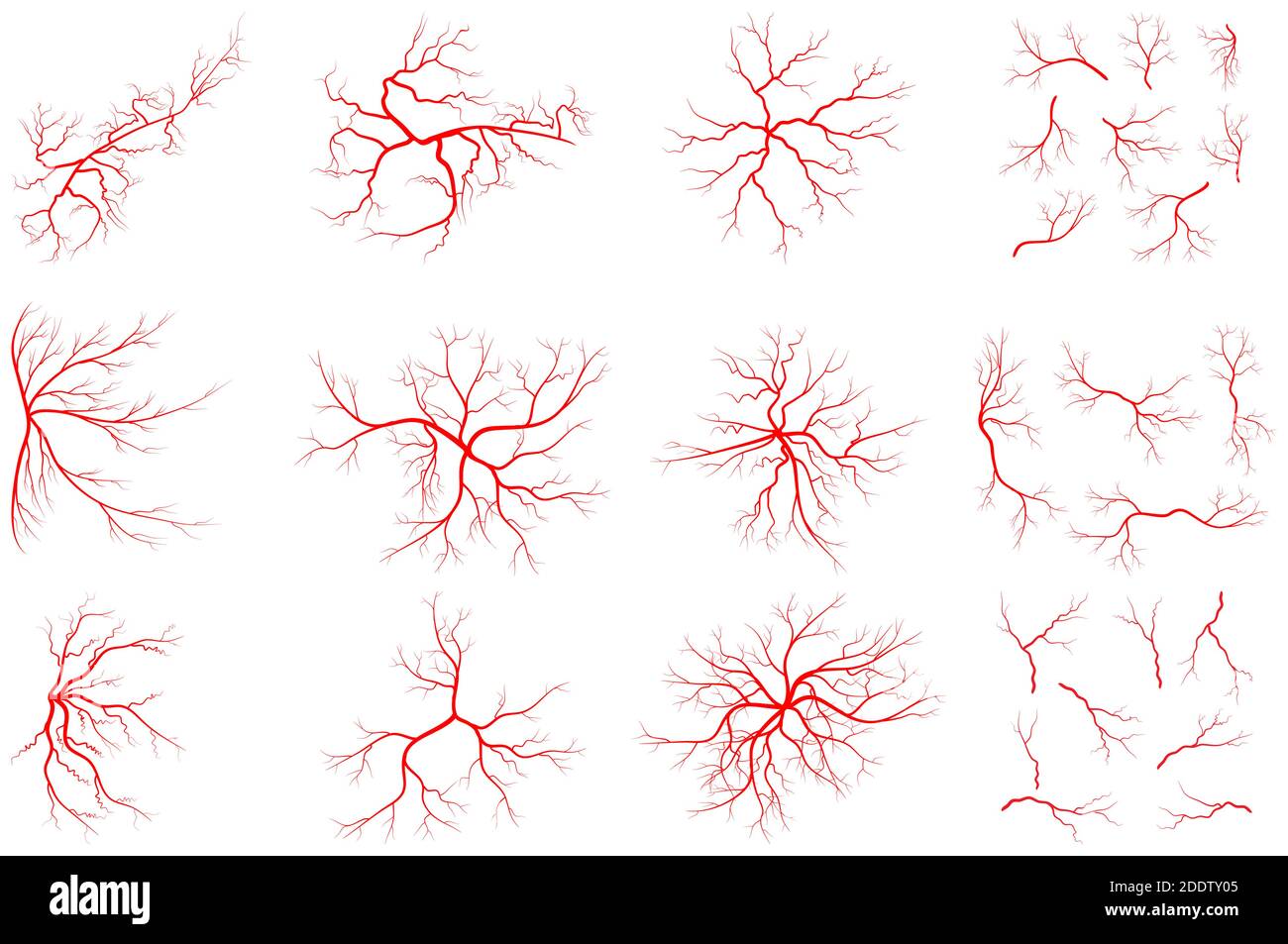 Ilustración del conjunto de venas aislada sobre fondo blanco. Colección de la gráfica del sistema de sangre humana. Vaso rojo, diseño de arterias. Grupo de iconos anatómicos. Vect Ilustración del Vector
