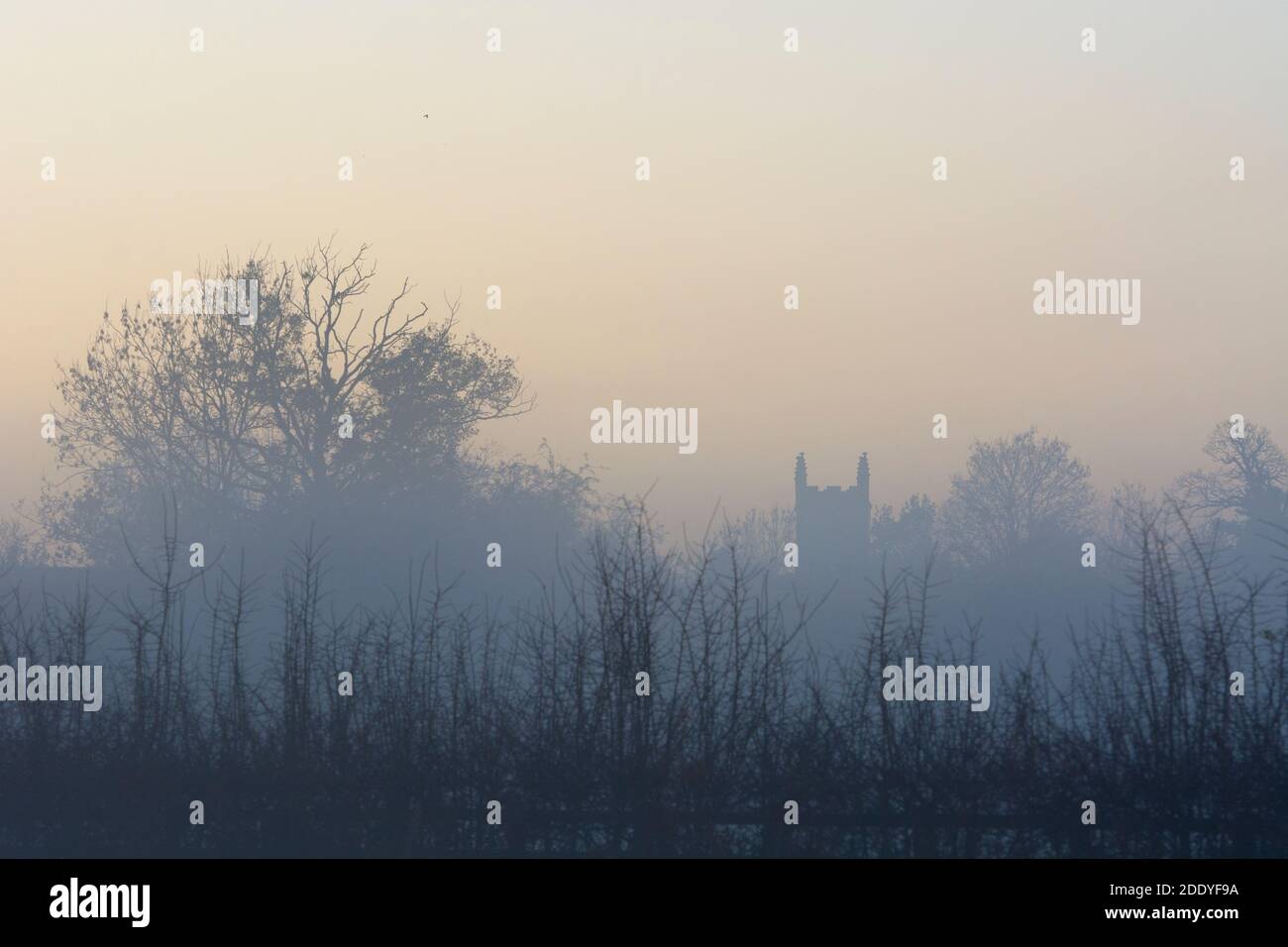 Vista hacia la Iglesia de San Miguel, Budbrooke, en un clima foggy en noviembre, Warwickshire, Inglaterra, Reino Unido Foto de stock