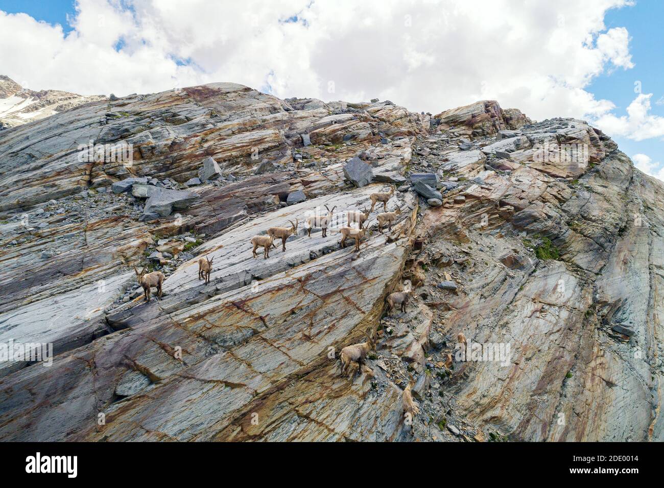 Ibex shoal en las altas montañas, Vista aérea Foto de stock