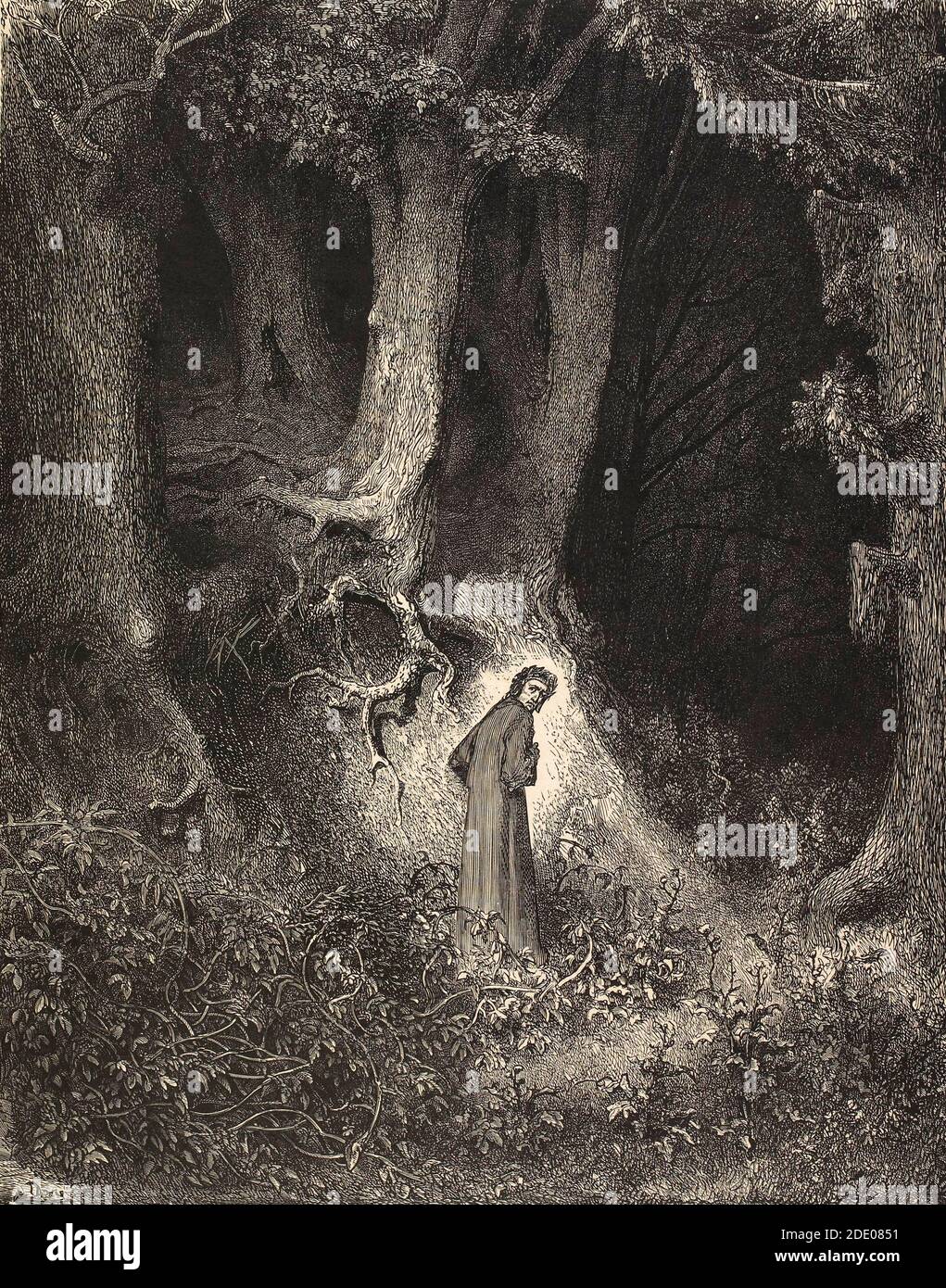 Dante Ilustración de Gustave Dorè 1860 - Midway sobre tu vida, me encontré dentro de un bosque oscuro, porque el camino directo se había perdido Foto de stock