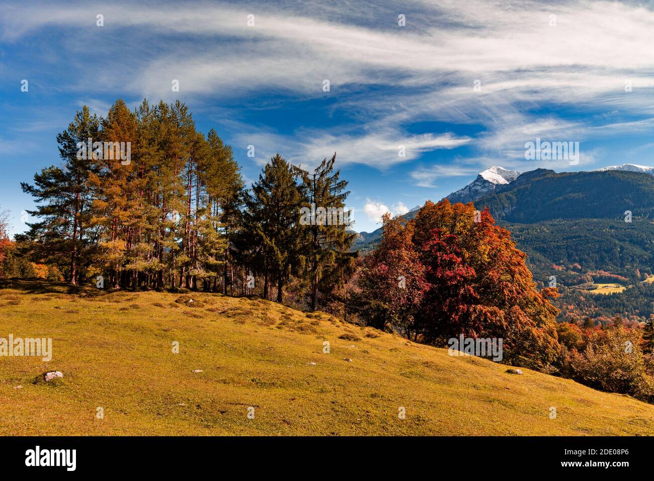 Paisaje otoñal en la tierra de Berchtesgadener, Baviera, Alemania. Foto de stock