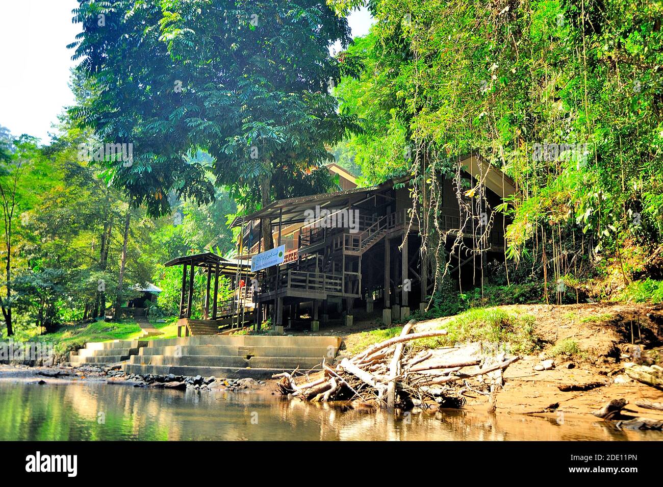 Parque Nacional Ulu Temburong Fotos e Imágenes de stock Alamy