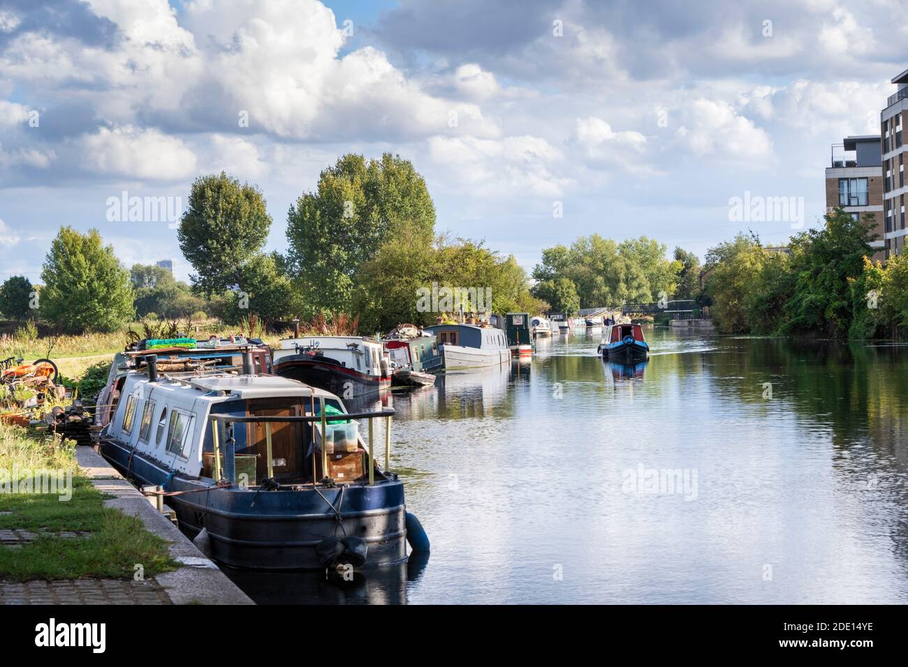 Tiro de verano de barcos de canal amarrados en el río Lea, Londres del este, Londres, Inglaterra, Reino Unido, Europa Foto de stock