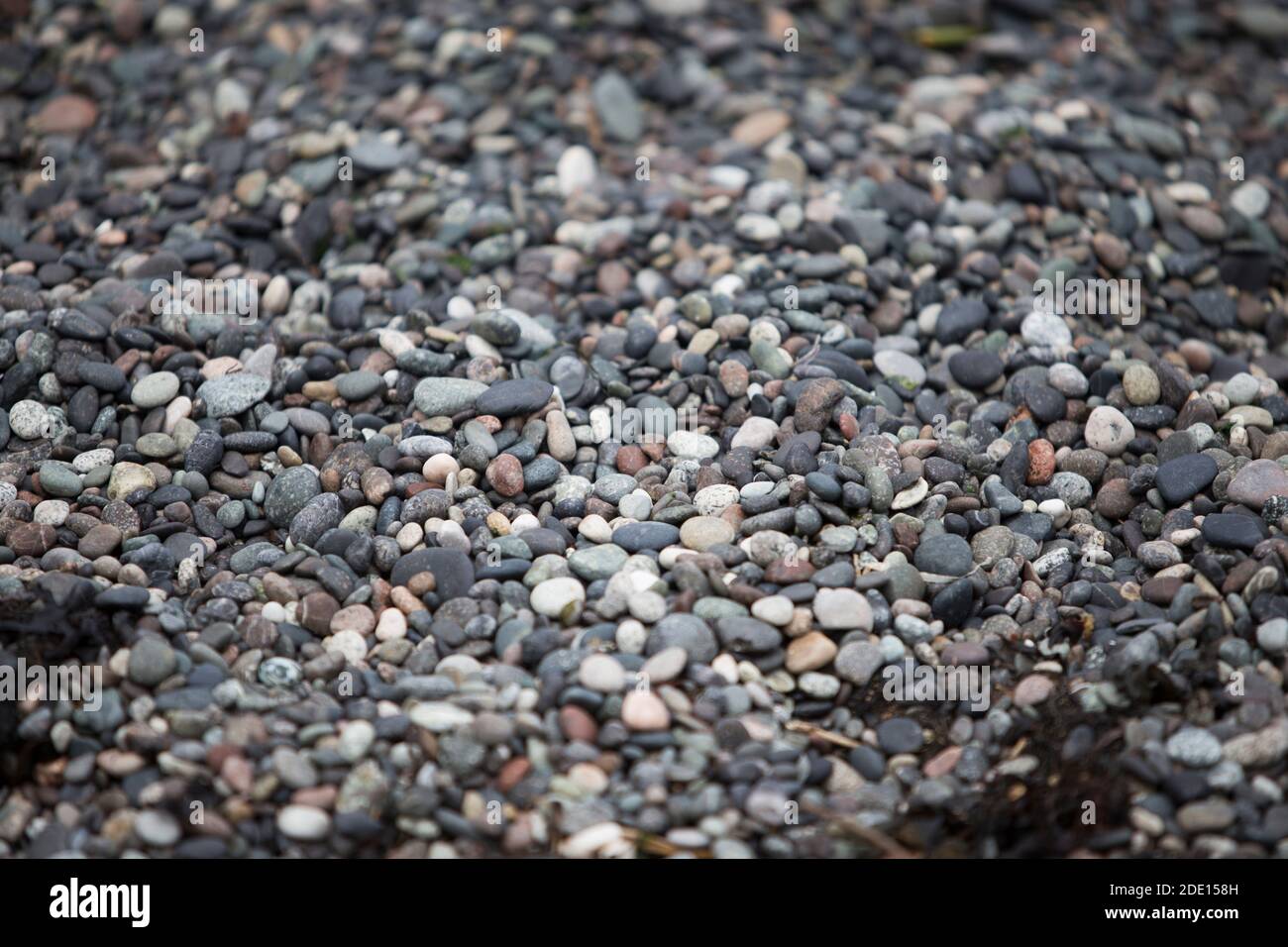 Poca profundidad de campo captura de pequeñas piedras redondas en Pebble Beach en la isla de Galiano, BC, Canadá Foto de stock