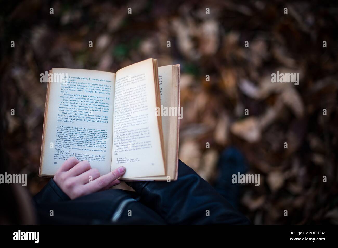 leer un buen libro al aire libre en la naturaleza - libro abierto con la  mano descansando sobre hojas marrones de fondo Fotografía de stock - Alamy