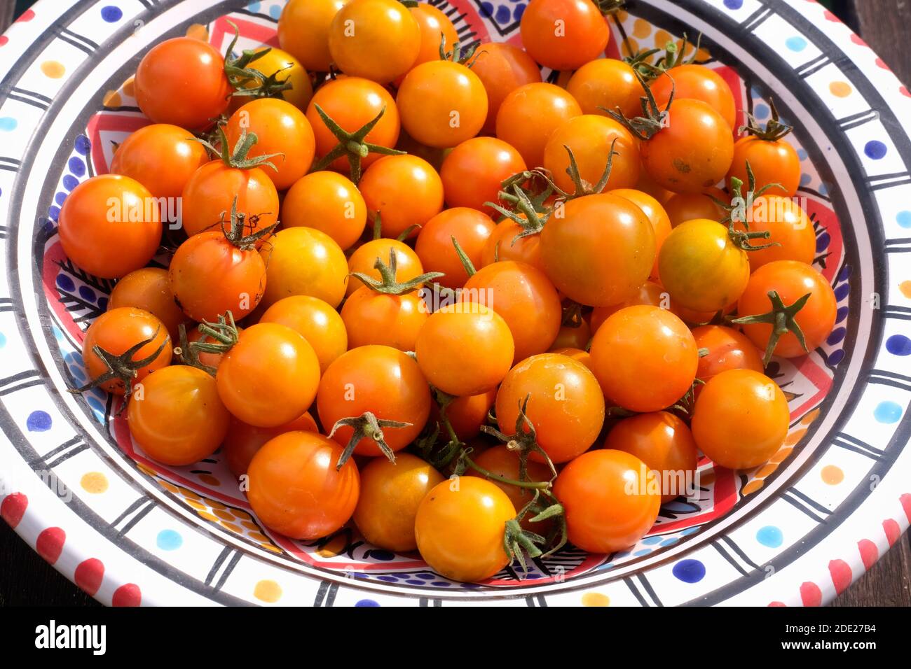 Tomates Sungold caseros Foto de stock