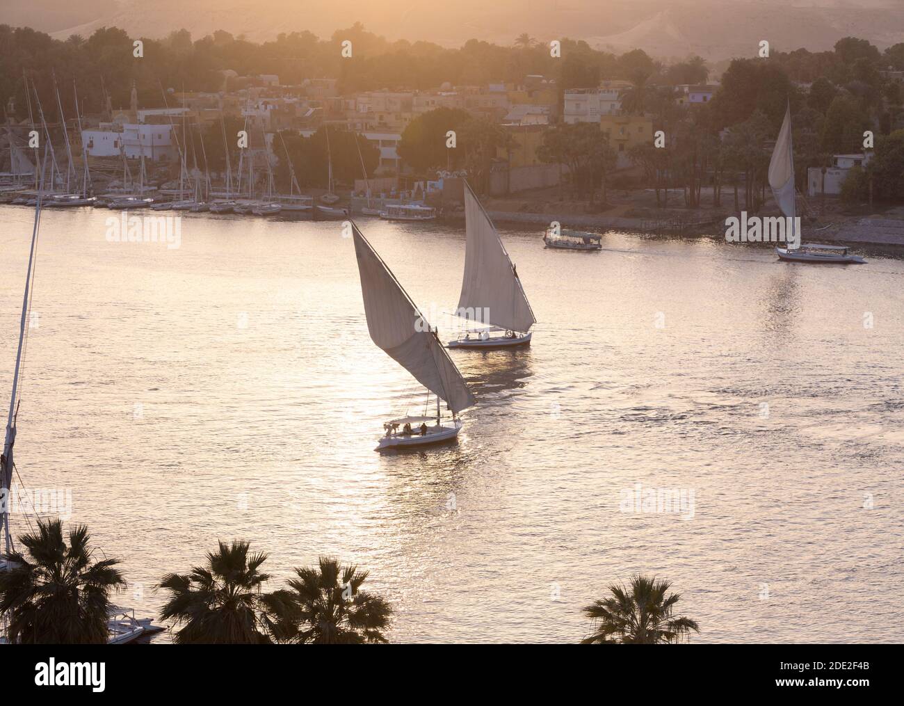 Feluccas en el río Nilo al atardecer, Asuán, Egipto Foto de stock