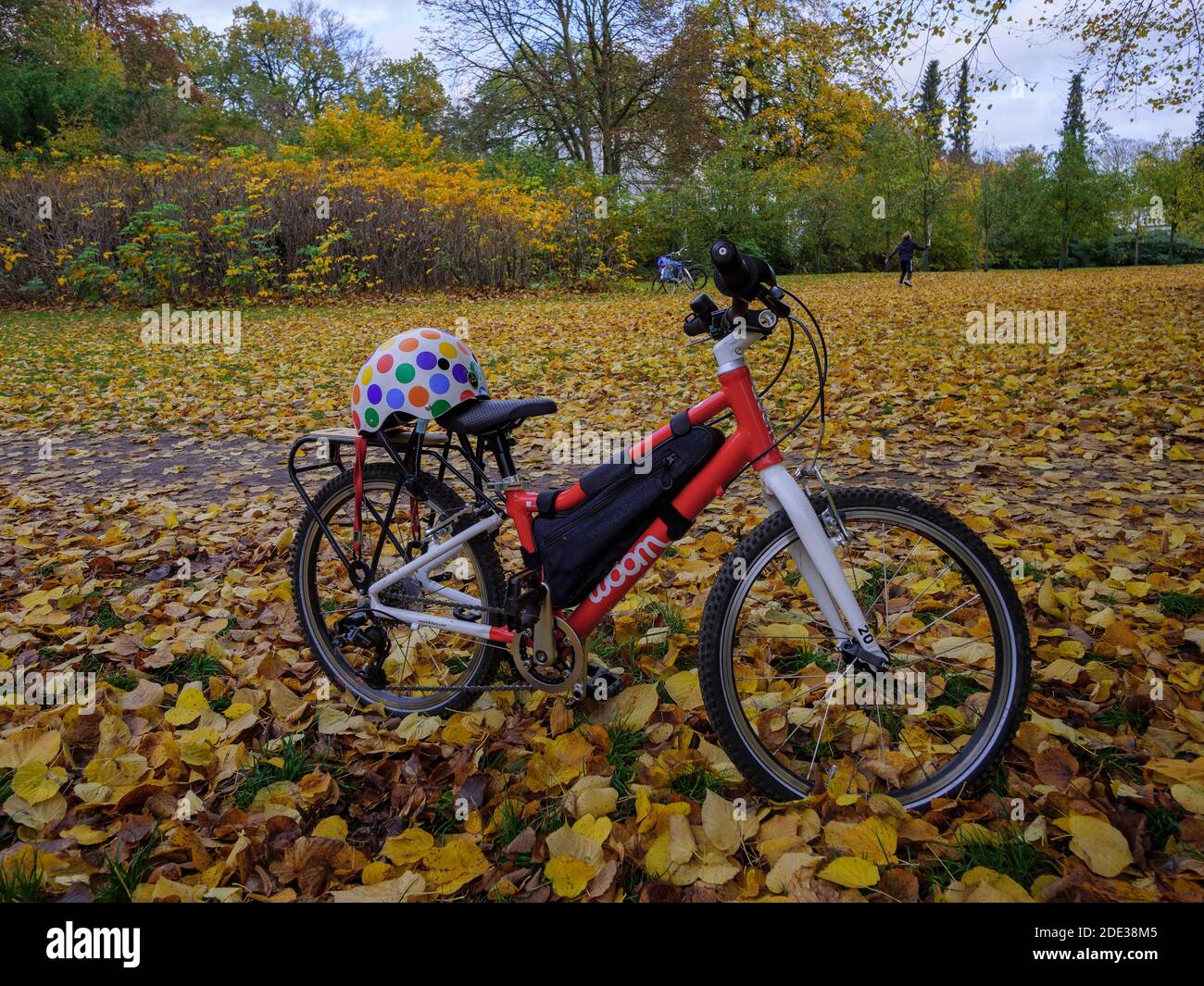 Verano indio, bicicleta, Hirschpark en Hamburgo-Blankenese, Alemania, Europa Foto de stock