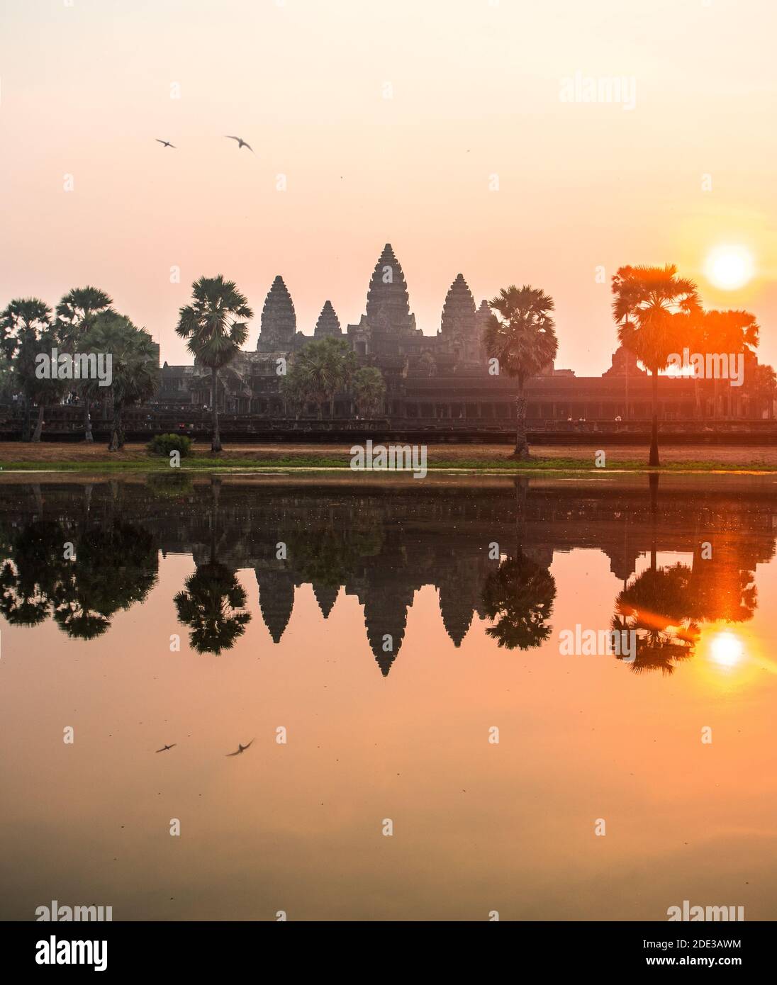 Templo Angkor Wat en Camboya durante el amanecer. Foto de stock