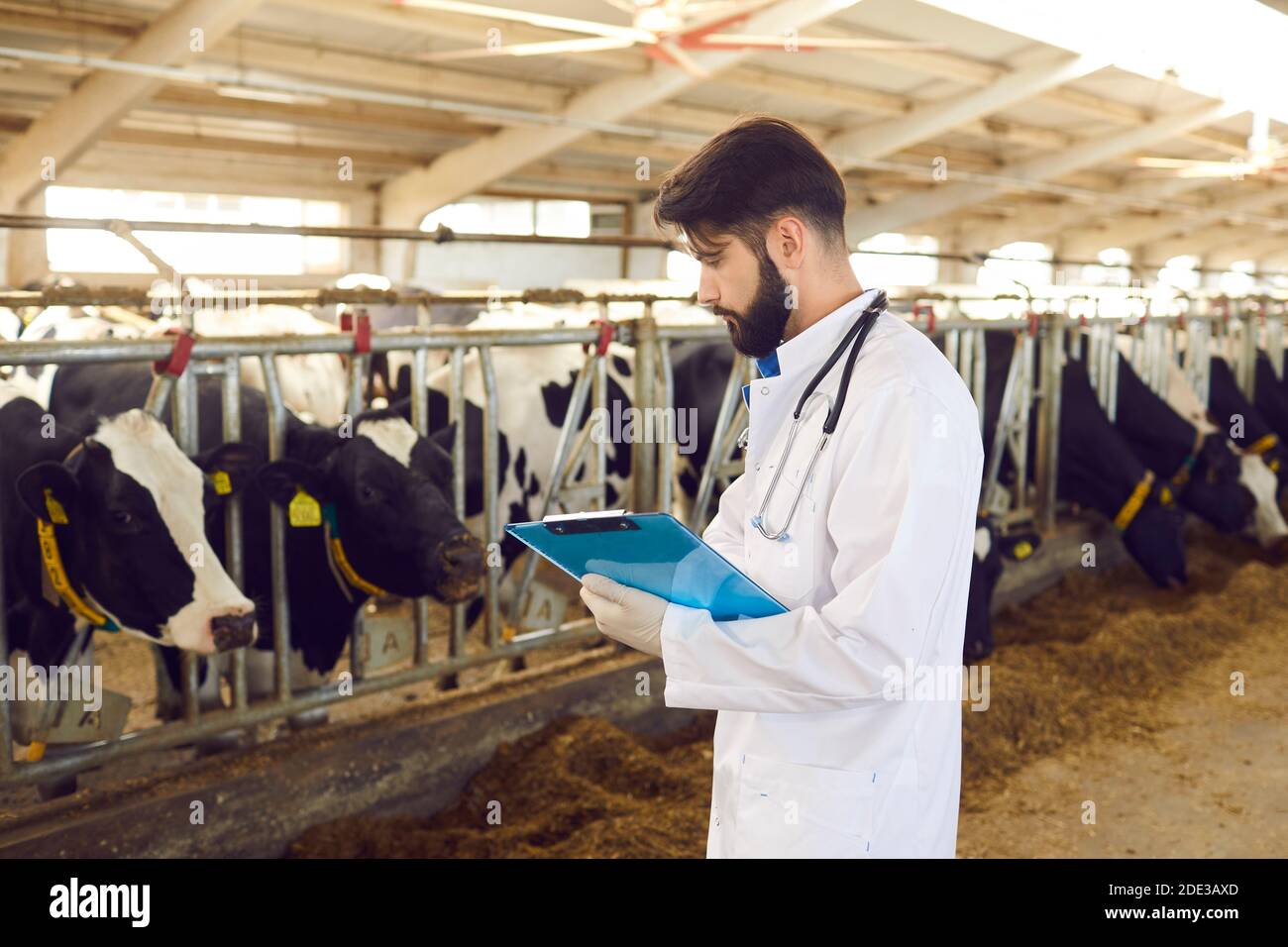 Registros de trabajo masculino fotografías e imágenes de alta
