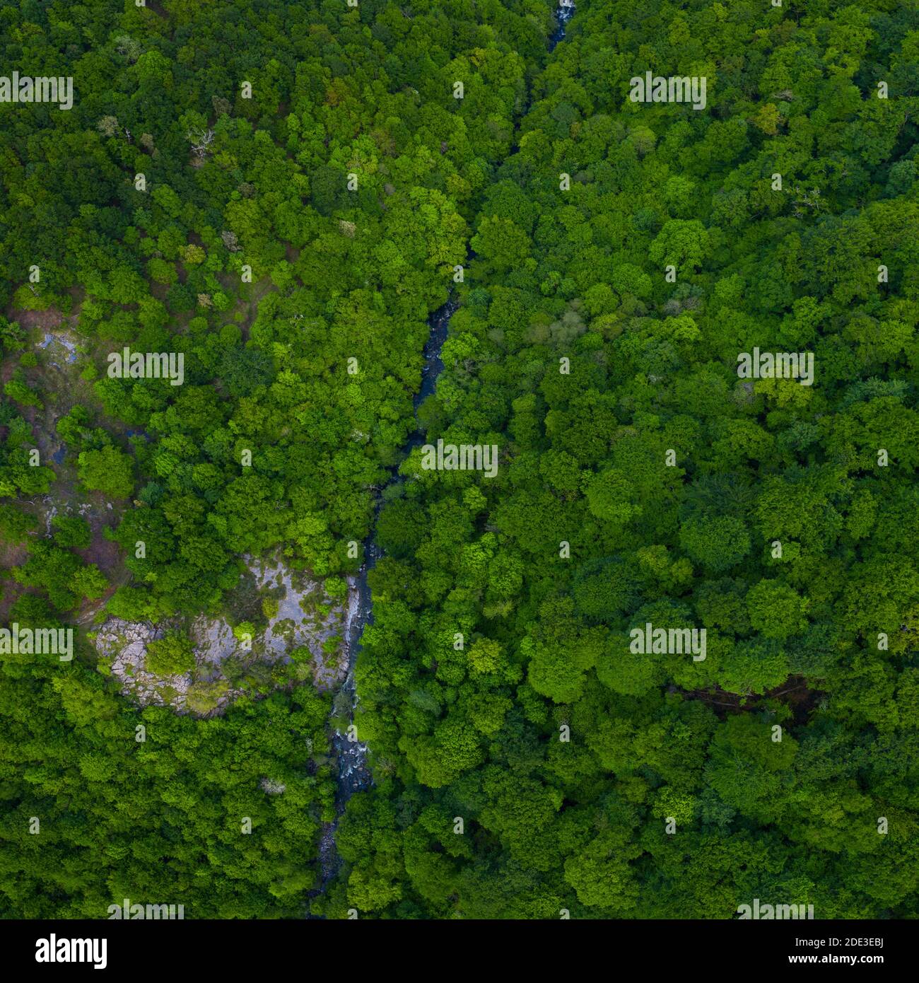 CASCADA DE GÁNDARA, Cascadas del Río Gándara, Primavera, la Gándara
