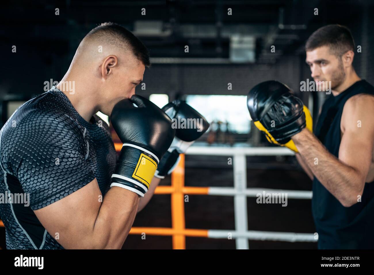 dos boxeadores de músculo deporte hombre de entrenamiento y lucha en el boxeo anillo en el gimnasio Foto de stock