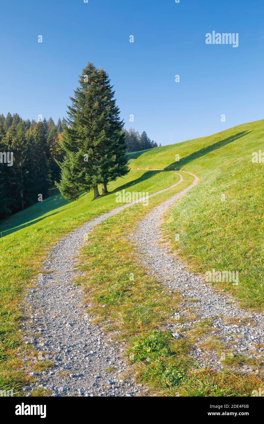 Camino de campo en el Paso de Raten, Cantón Zug, Suiza Foto de stock