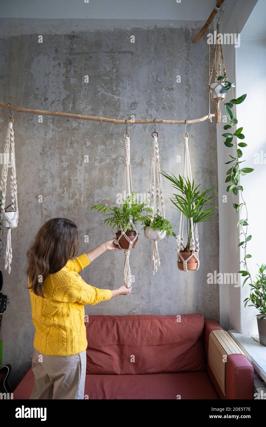 Mujer jardinera sosteniendo colgador de planta de macrame con plantas de  casa sobre pared gris en casa. Hobby, amor de las plantas, concepto de  decoración del hogar Fotografía de stock - Alamy