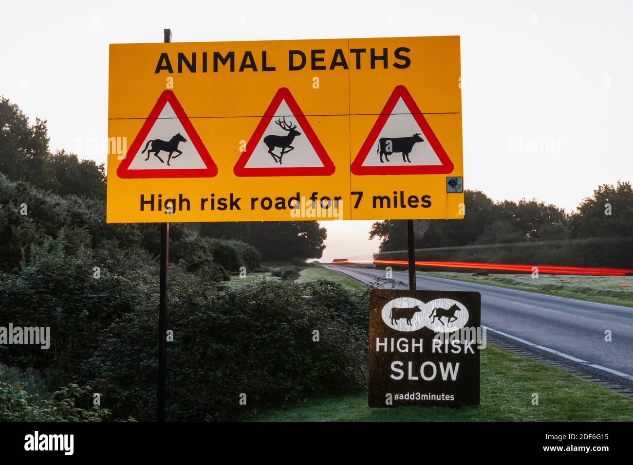 England, Hampshire, New Forest, señal de advertencia de animales en carretera Foto de stock