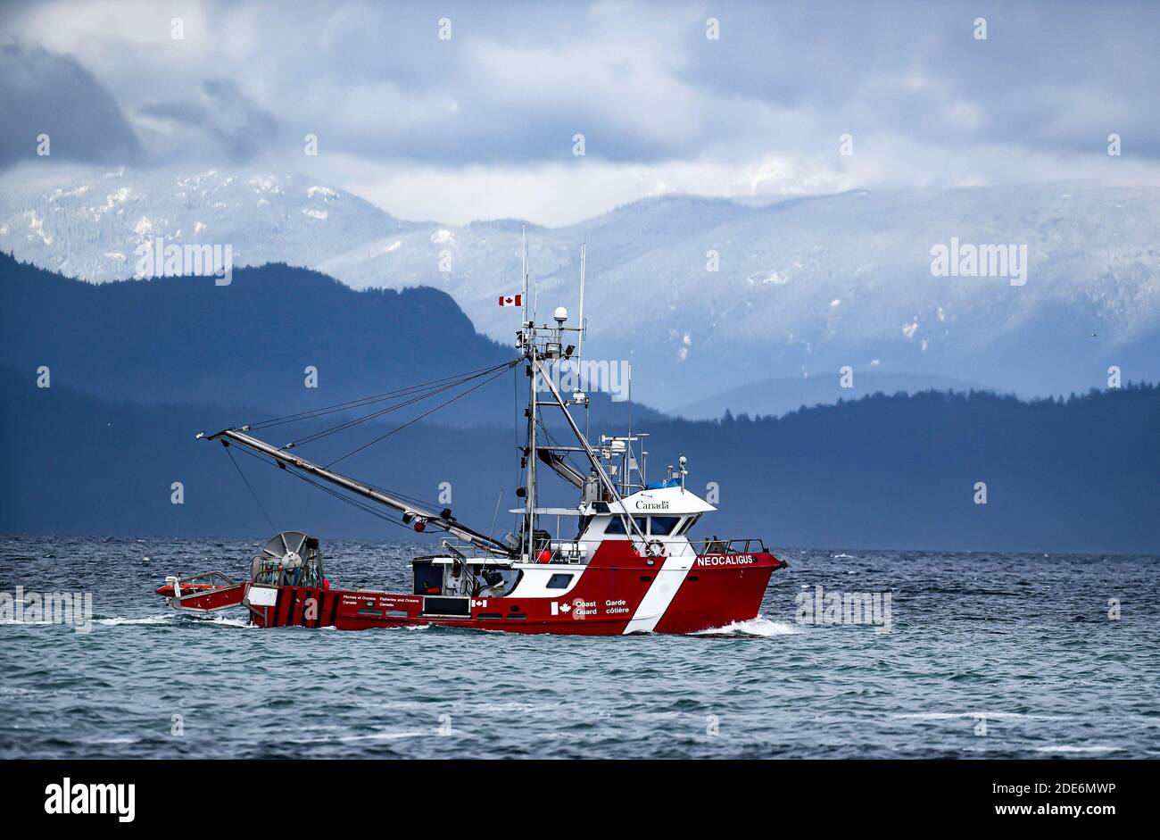 La Patrulla Pesquera Canadiense Neocaligus durante la temporada de arenque monitorea la actividad pesquera en el Mar Salish frente a la Isla de Vancouver. Foto de stock