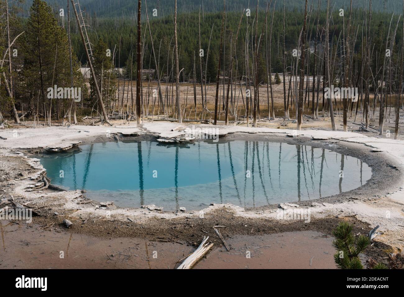 Manantial de cisterna en la cuenca trasera de la cuenca del Norris Geyser en el Parque Nacional de Yellowstone, Wyoming. Foto de stock