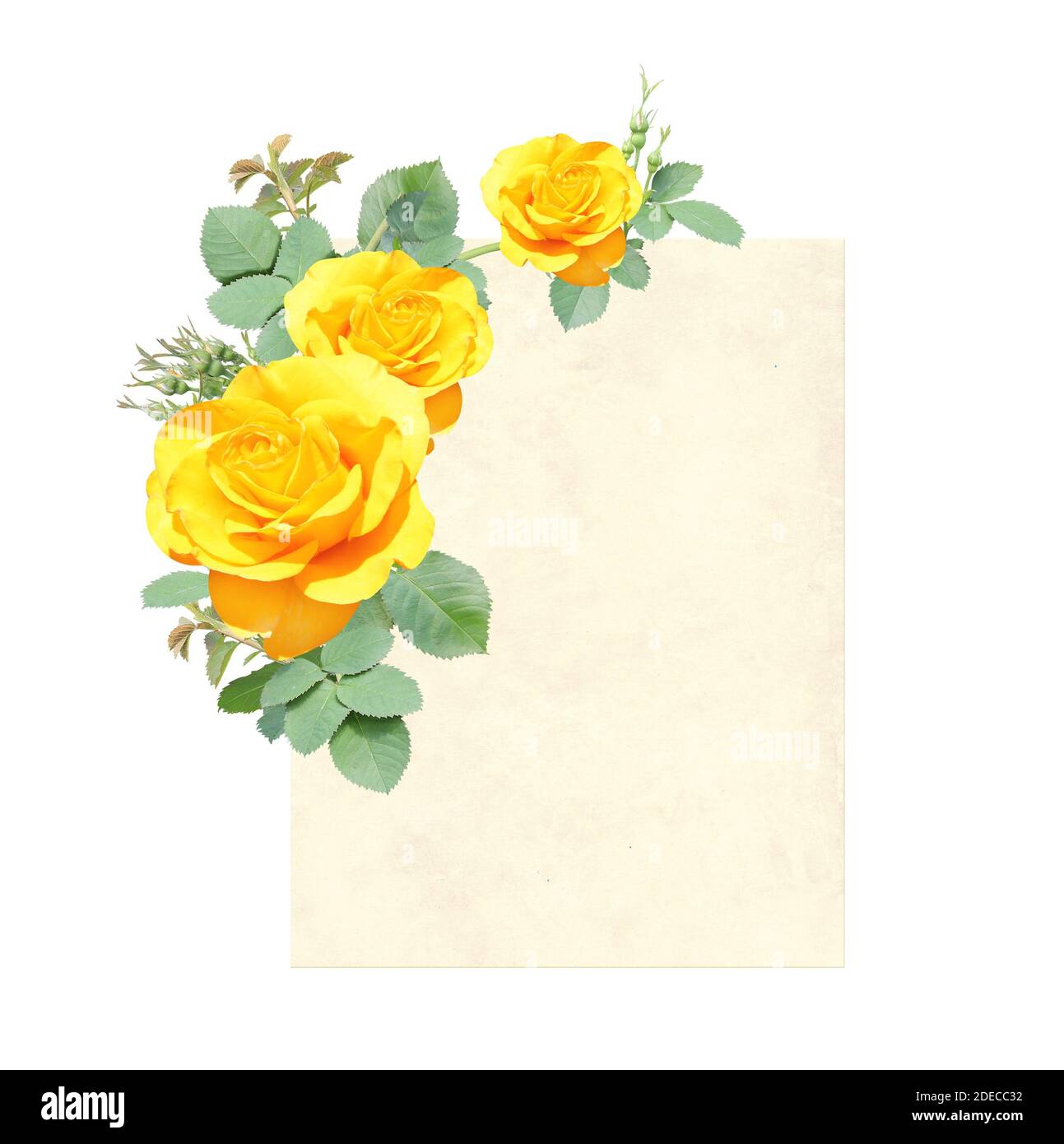 Carta retro vertical con rama de escalada rosa con flores amarillas