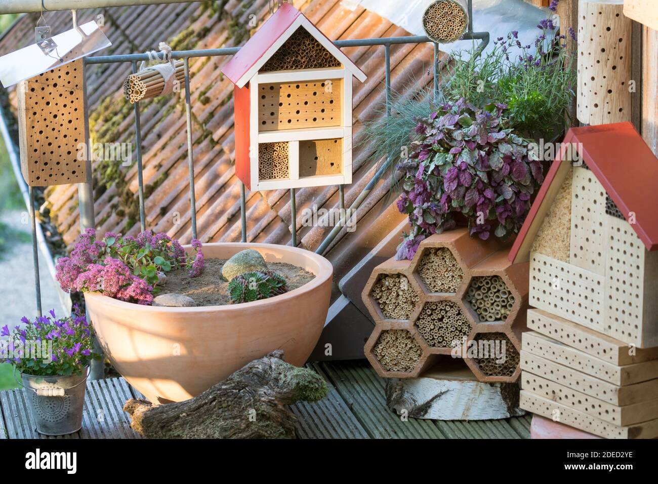 Ayudas de anidación de abejas salvajes en un balcón, madera dura con varios agujeros de perforación, Alemania Foto de stock