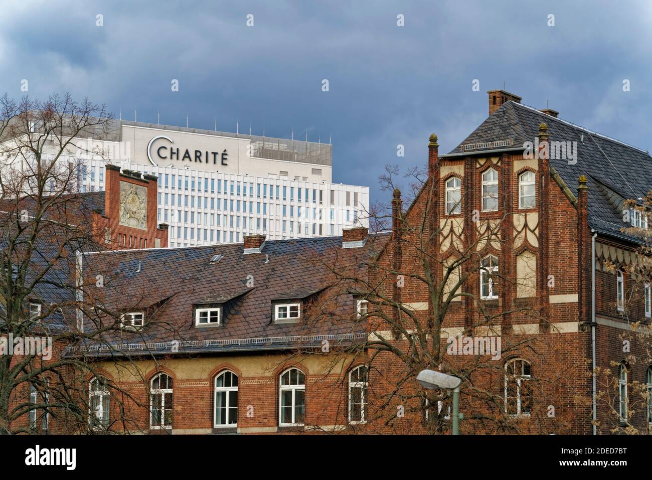Charite, Krankenhaus, Berlín-Mitte, Berlín, Alemania, Foto de stock