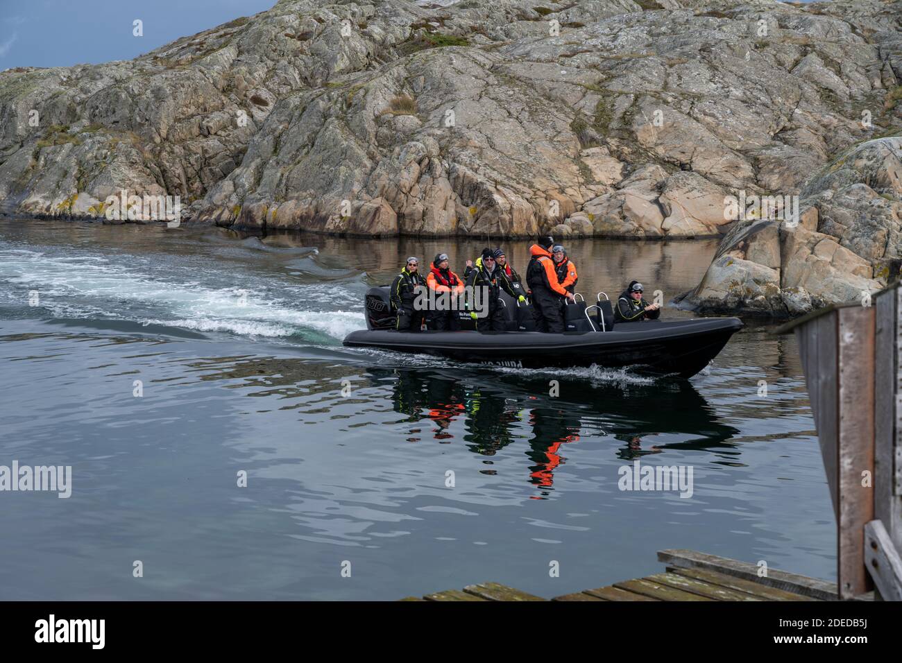 Isletas de costilla fotografías e imágenes de alta resolución Alamy