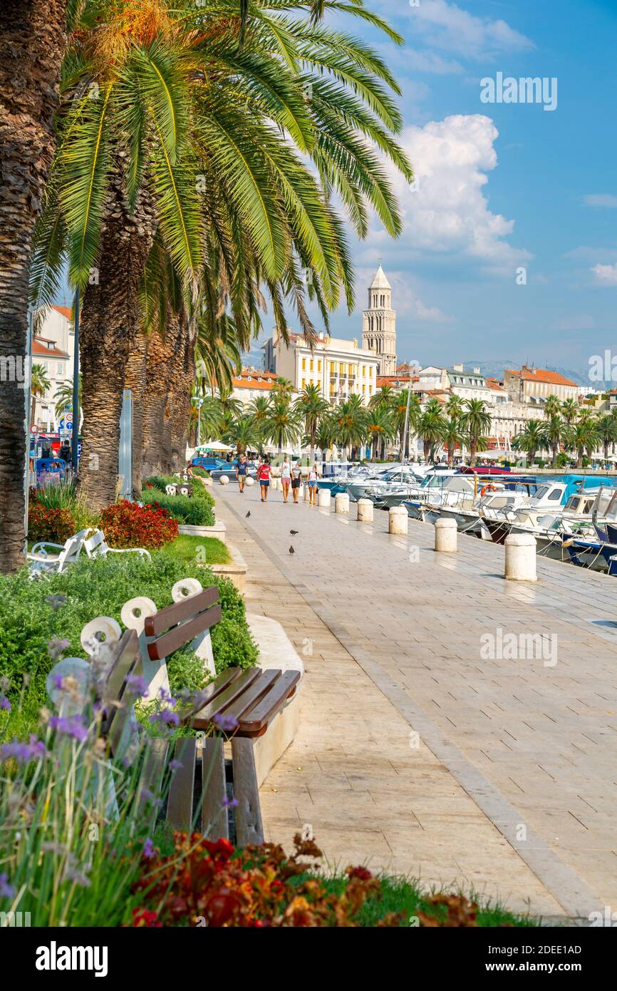 Vista del puerto de Split con la Catedral de San Domnio, Split, Costa Dalmacia, Croacia, Europa Foto de stock